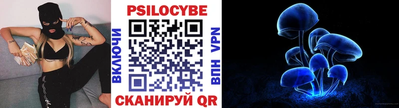 Галлюциногенные грибы Psilocybe  Купить где  Красный Кут 