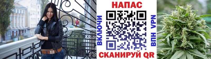Конопля гибрид Красный Кут